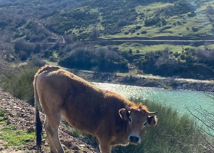 Holiday home Casa La Puerta Riano (Leon)